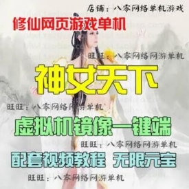 神女天下单机版 水墨仙侠修仙页游单机镜像一键端GM元宝...