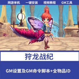 【狩龙战纪】VM一键单机版+GM设置及GM命令脚本+全物品ID